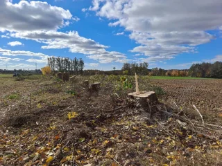  Teren wycinki drzew i krzewów w km 8+700