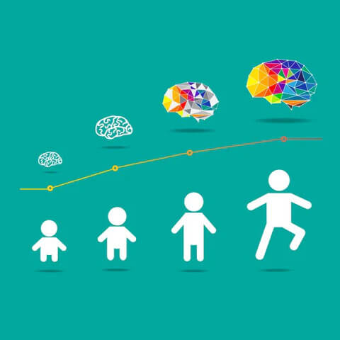 An infographic showing the influence of playing with puzzles on a child's brain.