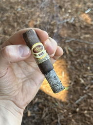 Nice ash