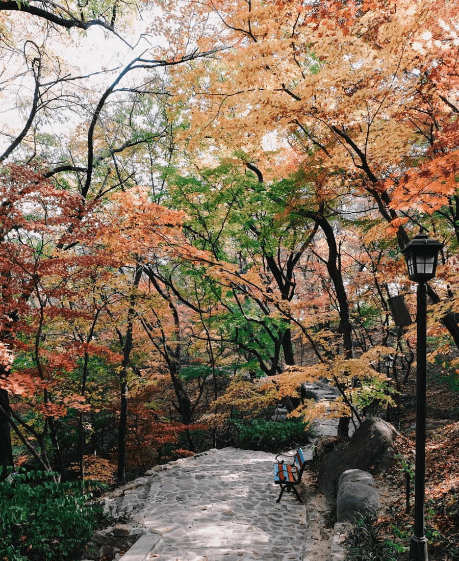 Nature hideaway Hidden Gem Seokpajeong