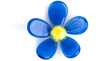Main Content Image