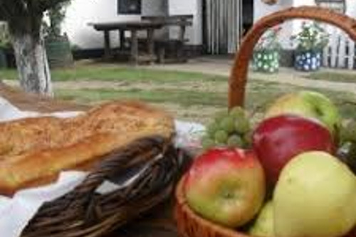 Музей хлеба и Сирмий — Засавица