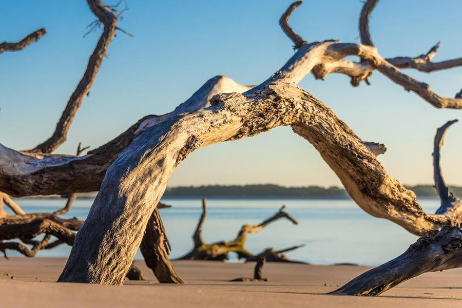 Big Talbot Island State Park