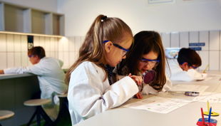 dsm kinderlabor d rgb