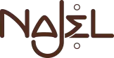 Logo NAJEL