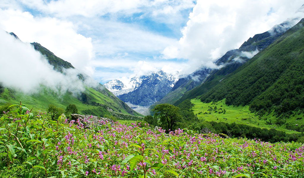 valley-of-flowers-national-park.jpg