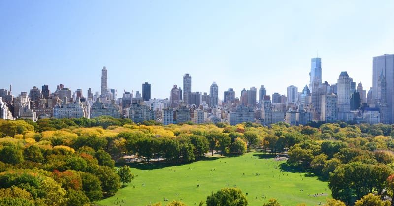 Your Official Guide to Central Park