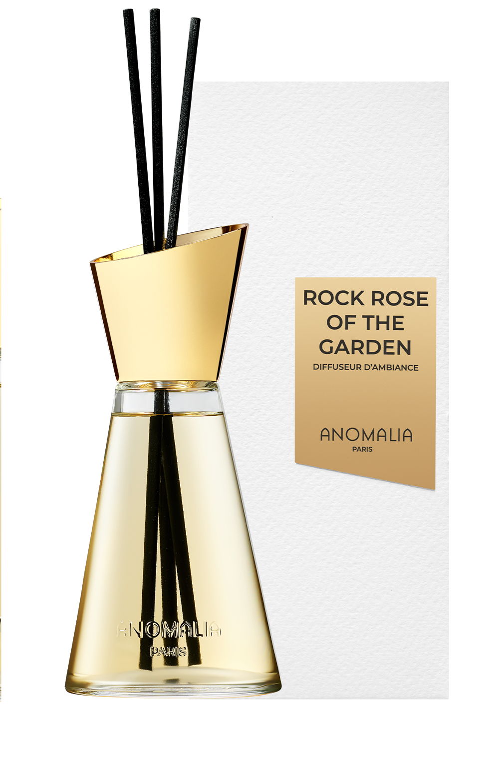 Rock Rose Of The Garden