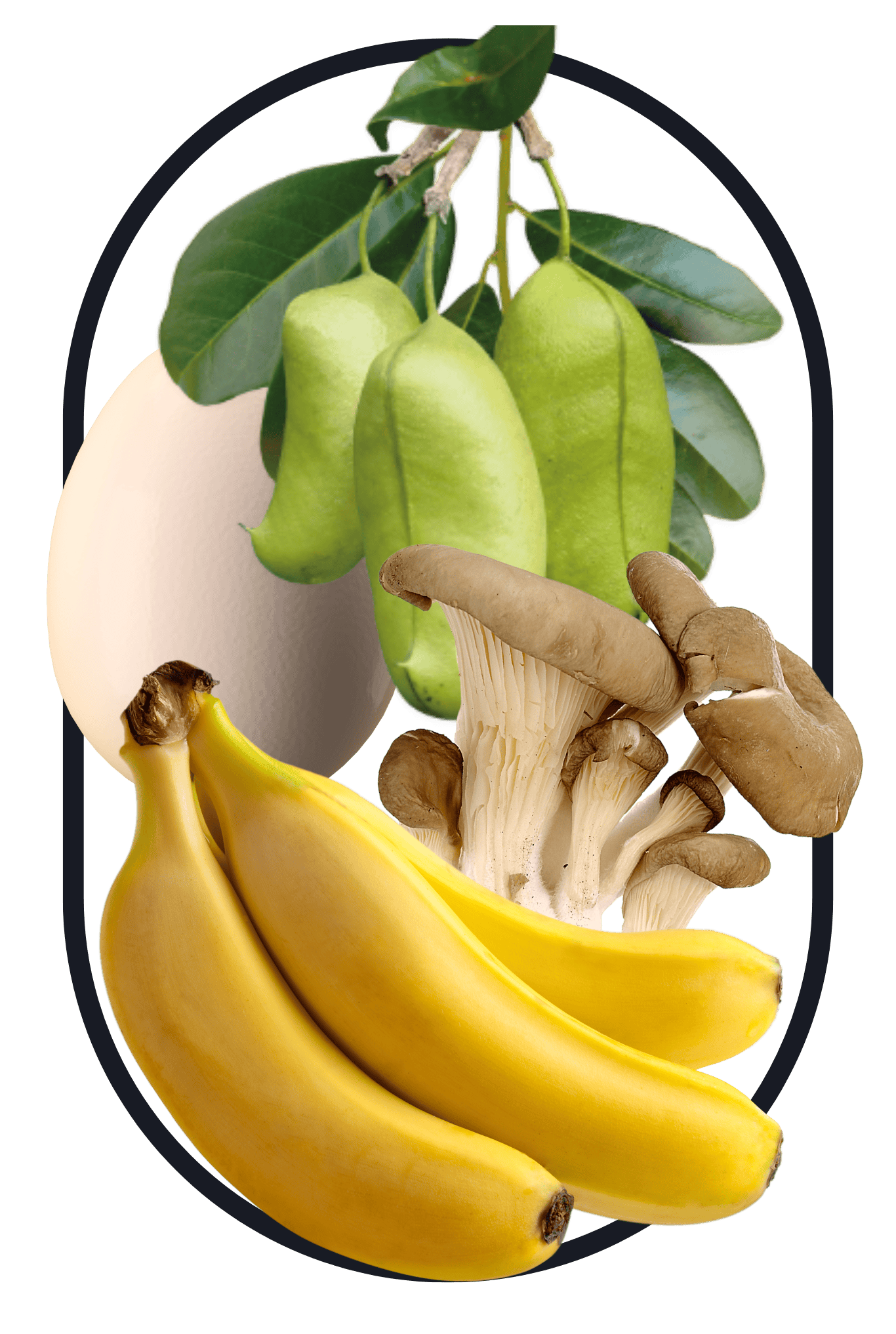 corn, beans and wheat as sources of beta-glucan found in the best Multivitamins for men