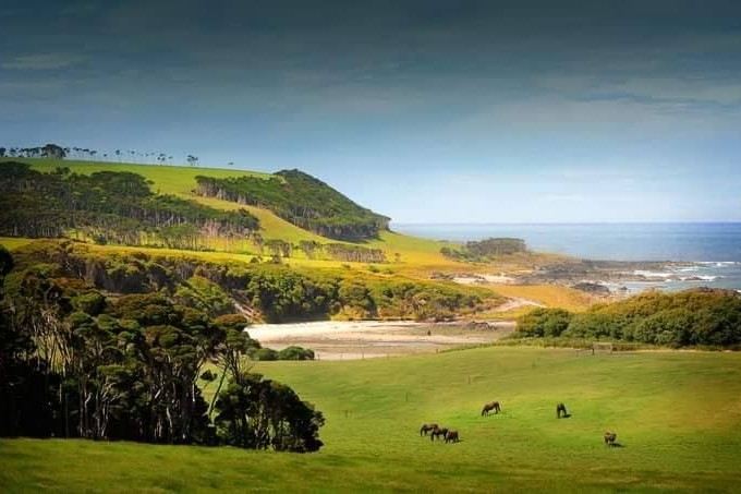 King Island Tours Voucher - Image 4