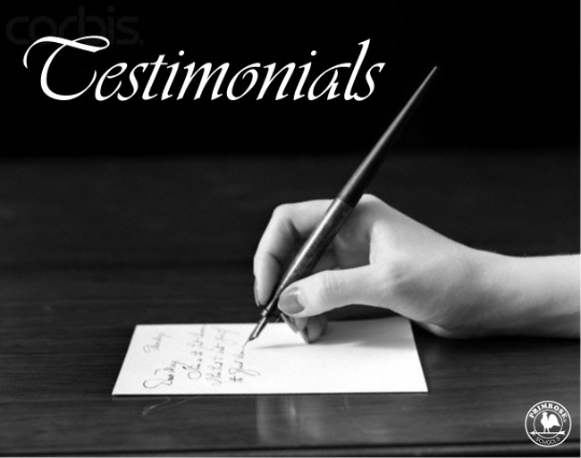 Poster labelled "testimonials" with a close up image of a hand holding a calligraphy pen