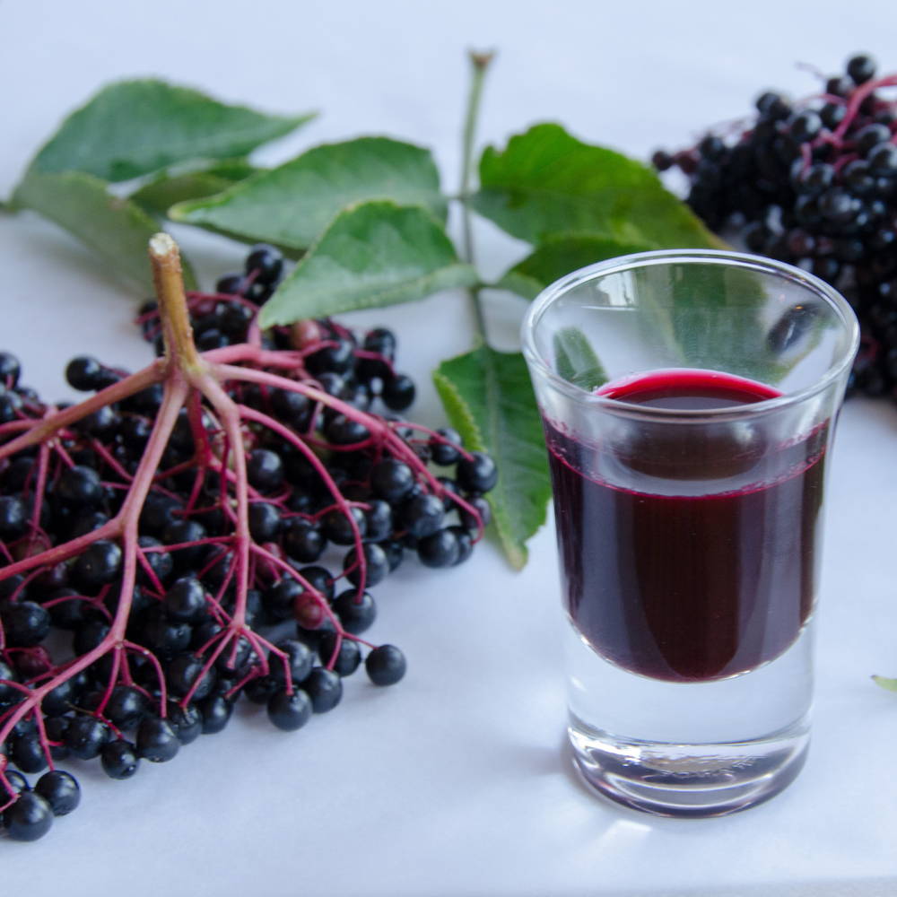 liposomal elderberry and vitamin c