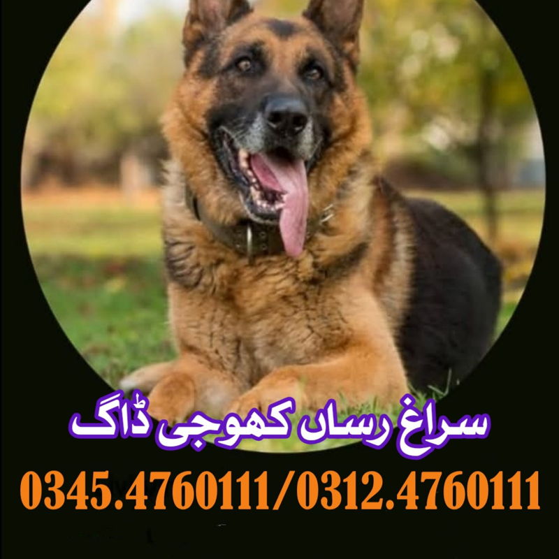https://ucarecdn.com/0ec13699-4553-4531-83ef-794788f0d3a2/-/crop/1073x1073/0,4/-/preview/ cover