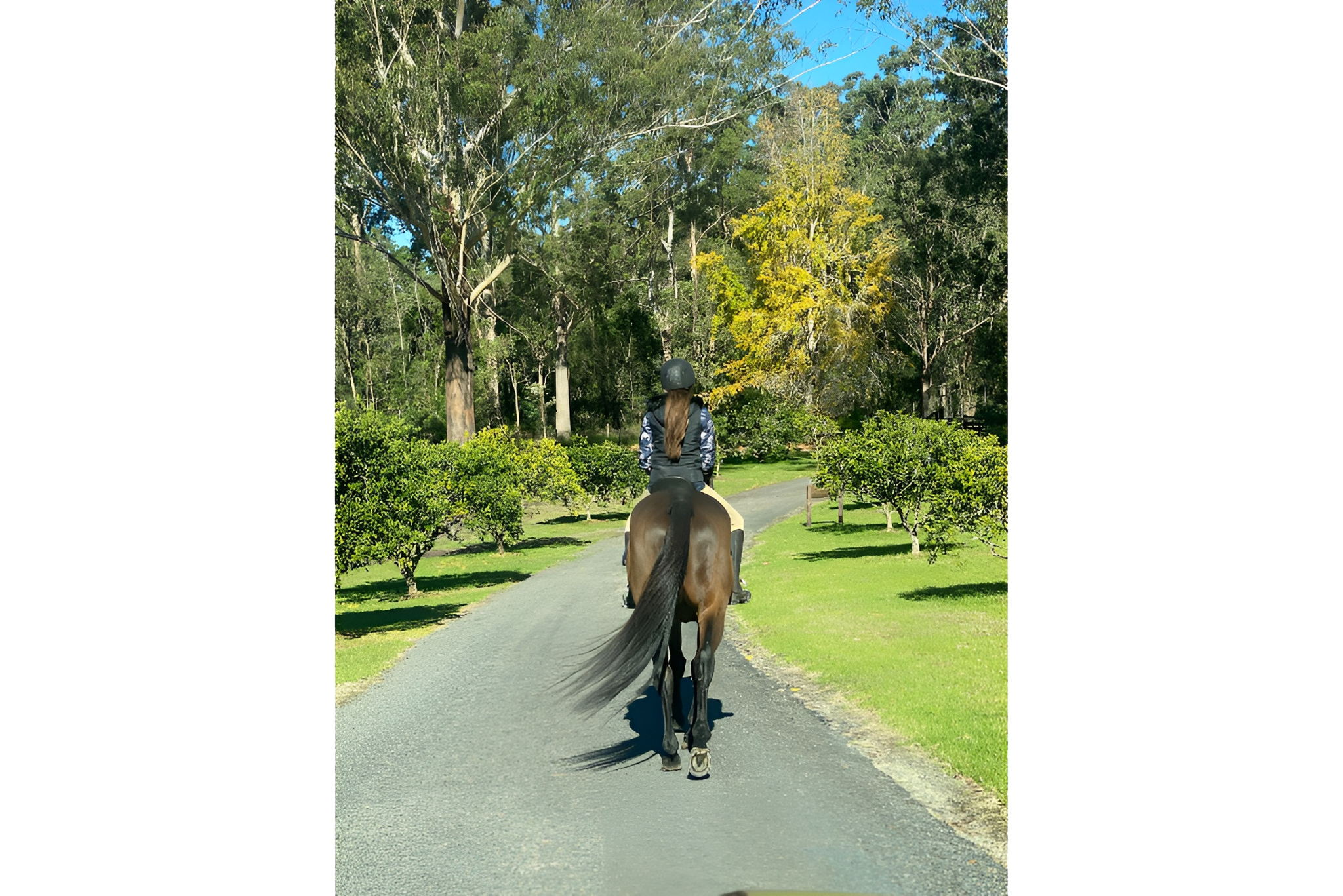 Ridgeview Equestrian Voucher - Image 4