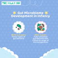 Gut Microbiome Development in Infancy | The Milky Box