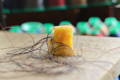 waxed or non-waxed thread