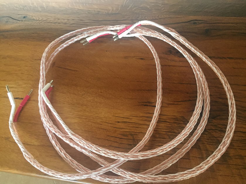 Kimber Kable 12tc spk 5 ft speaker cable