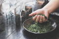 fresh matcha leaves in a hand