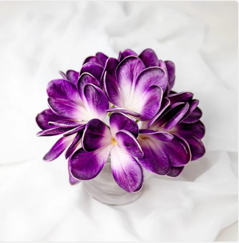 Purple Haze Frangipani Flowerhead (6 Pack) - Realistic Artificial Flowers - Image 5