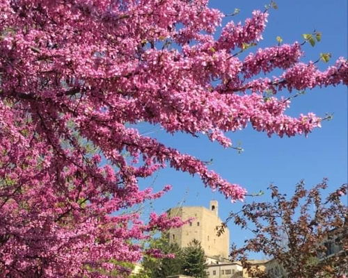 Food experiences Montefiore Conca: Tastes and stories in the village of Montefiore
