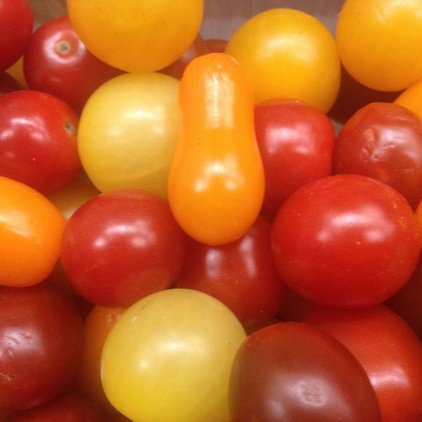 tomates-cerise-multicolores
