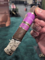 Nice ash