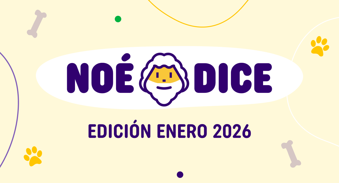 Noé Dice - Edición Enero 2026