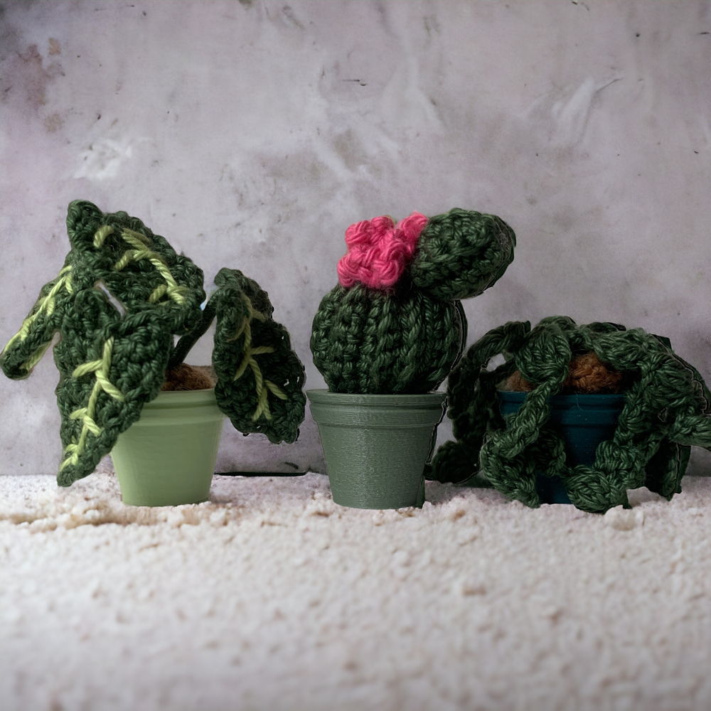 Mini urban jungle -  planten