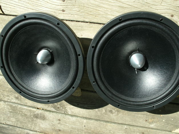 Acoustic Elegance Dipole 12 One of the best Open Baffle...