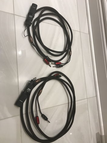 AudioQuest GO-4 Speaker Cables with 72V DBS, 10 Feet!