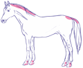 drawing dressage horse with rider CURAFYT