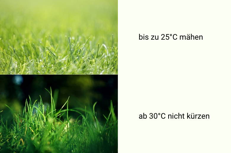 Gartengestaltung_Grafik_14