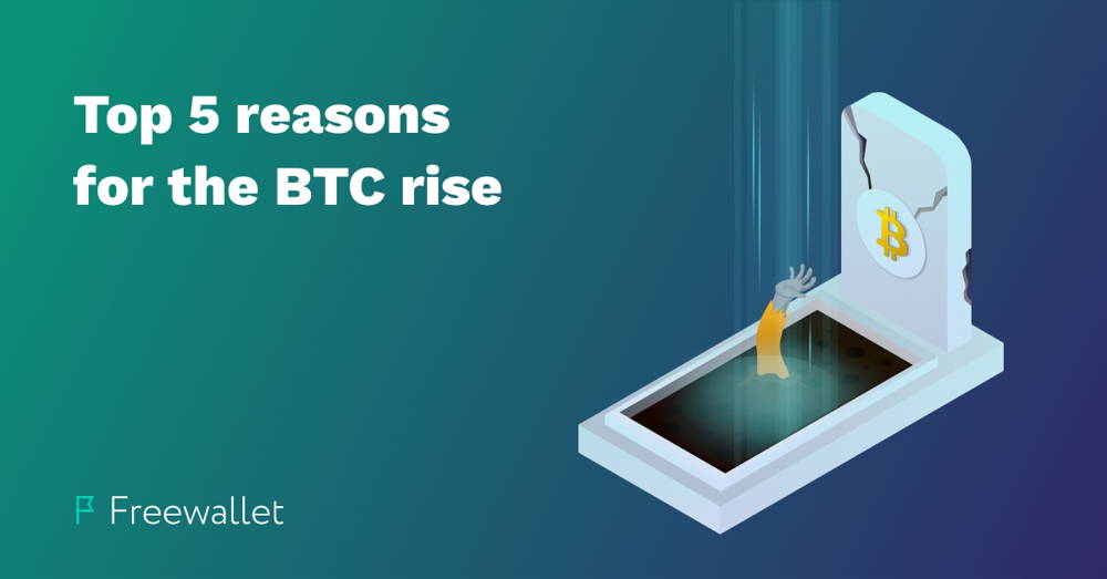 cryptos rise when btc pumps