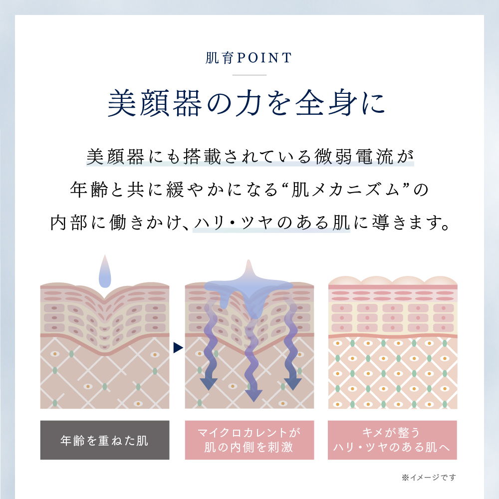 美顔器の力を全身に