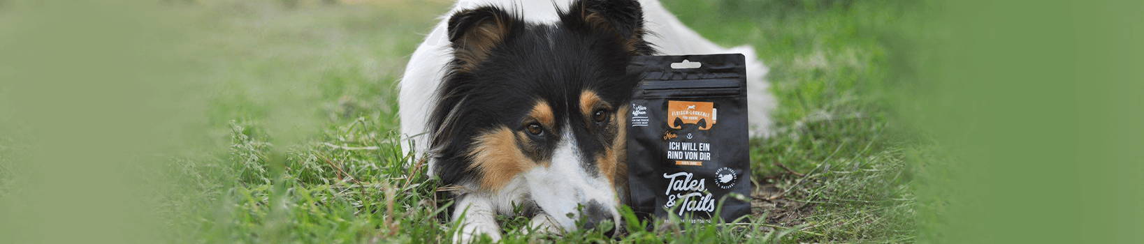 Trockenfutter für Hunde