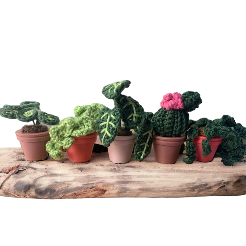 Mini-Großstadtdschungel (CAL)