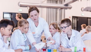 labor experimente gs