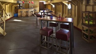 das eventschiff die keller disco