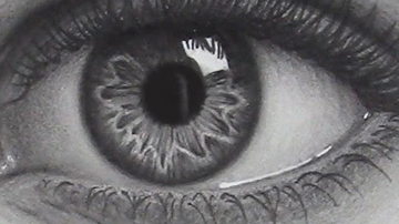 Main Content Image