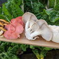 mushroom varieties on a chopping board in the garden