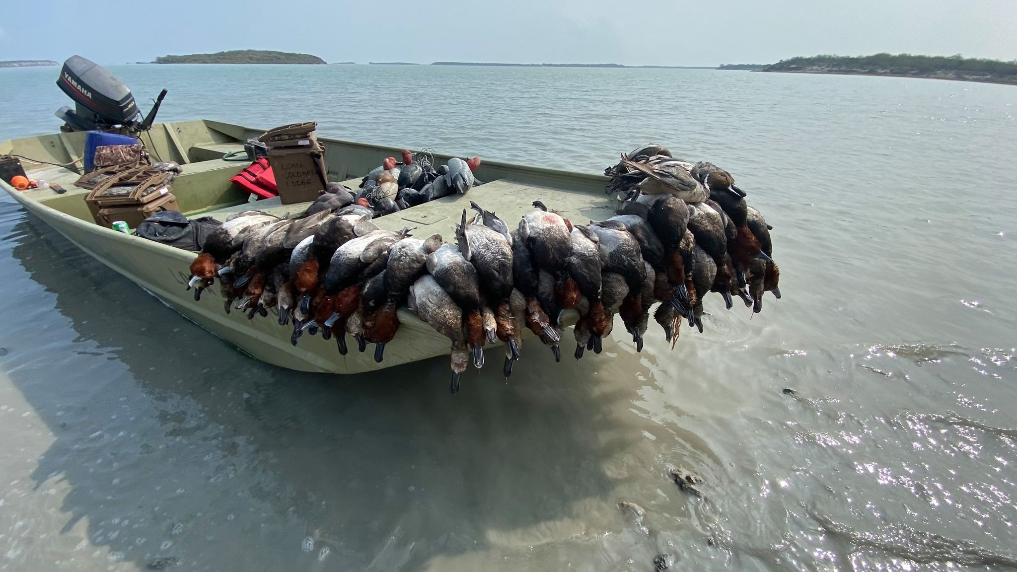 Loma Colorada Mexico Duck Hunt in Salt Lake City, Utah Mallard Bay