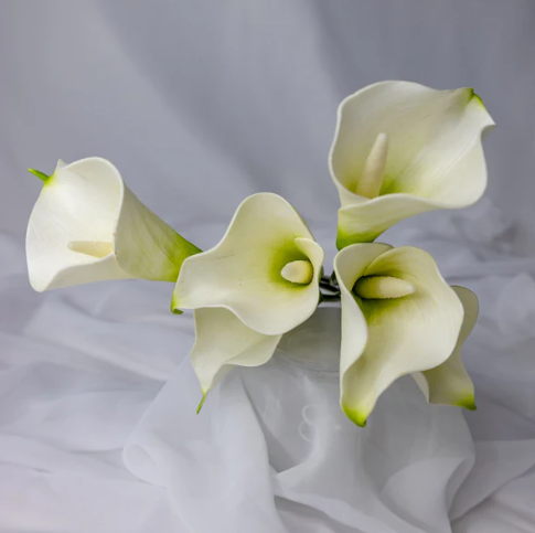 Soft Green Mini Calla Lily - Realistic Artificial Flowers - Image 2
