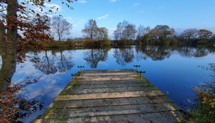 caee fca ea afde daafc