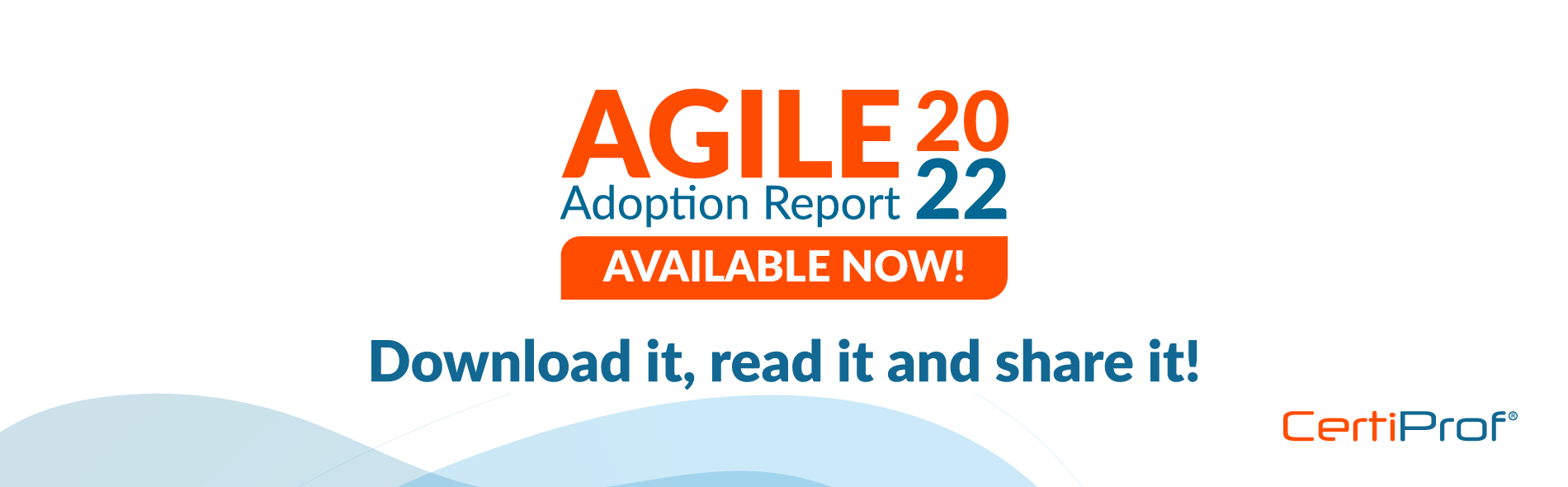 Agile adoption report 2022