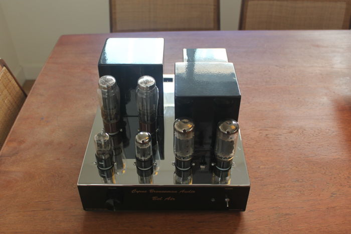 Mono amp with tubes