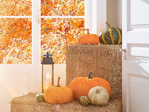 Pumpkins, chestnuts, and the like - 4 autumn decorating tips for your terrace
