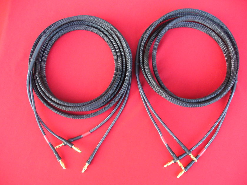 Western Electric WE12awg 10ft Pair Speaker Cables Excellent Tone & Synergy With Tube Amplifiers