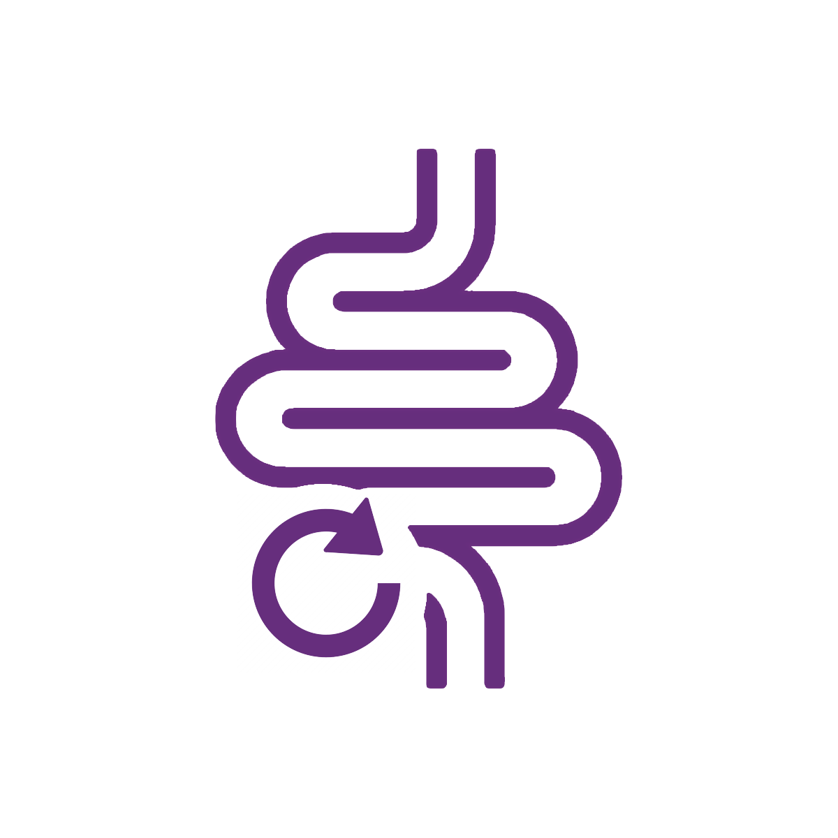 The best probiotic supplement provides restoration of gut bacteria as one of its benefits