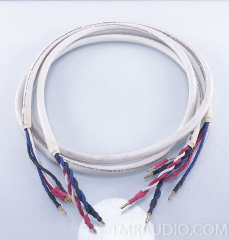 Tara Labs  RSC Prime  Bi-Wire Speaker Cables; Pair (1993)