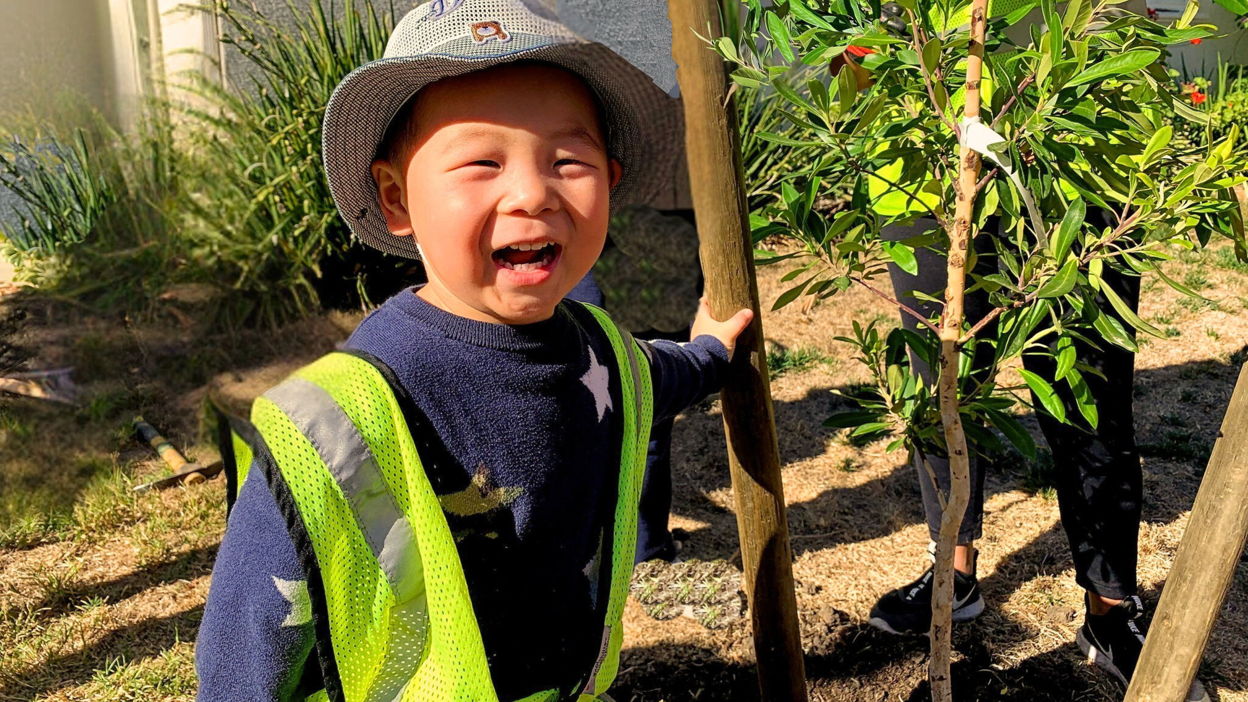 Trees as Agents of Change